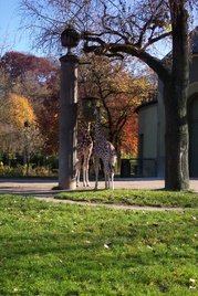 Tierpark Hellabrunn Tierpark Hellabrunn Munich