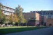 Museum Brandhorst