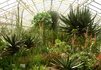 Botanischer Garten München Munich