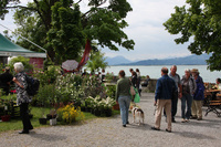 Die Gartentage Lindau sind ein El Dorado für Gartenfreunde und Pflanzenliebhaber an einem der schönsten Plätze Bayerns!, Die Gartentage Lindau an einem der schönsten Plätze Bayerns!