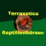 Terraxotica Cloppenburg