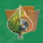 Woodprocessing Kiev