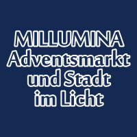 MILLUMINA Adventsmarkt und Stadt im Licht  Miltenberg