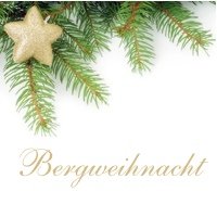 Welser Weihnachtswelt  Wels