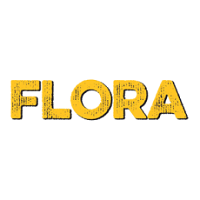 Flora Celje 2020 Flora 2020 Celje