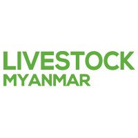 Livestock Myanmar  Rangun