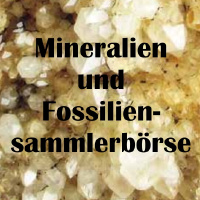 Mineralien und Fossiliensammlerbörse Eggenburg 2021 Mineralien und Fossiliensammlerbörse 2021 Eggenburg