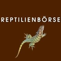 Reptilienbörse  Ulm