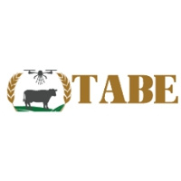 TABE 2024 Dodoma