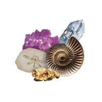 Mineralientage Dortmund 2019 Mineralientage 2019 Dortmund