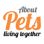 About Pets, Nikosia