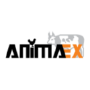 AnimaEx, Coimbatore