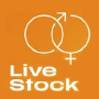 Live Stock, Brünn