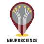 Neuroscience, San Diego