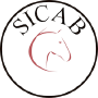 SICAB, Sevilla